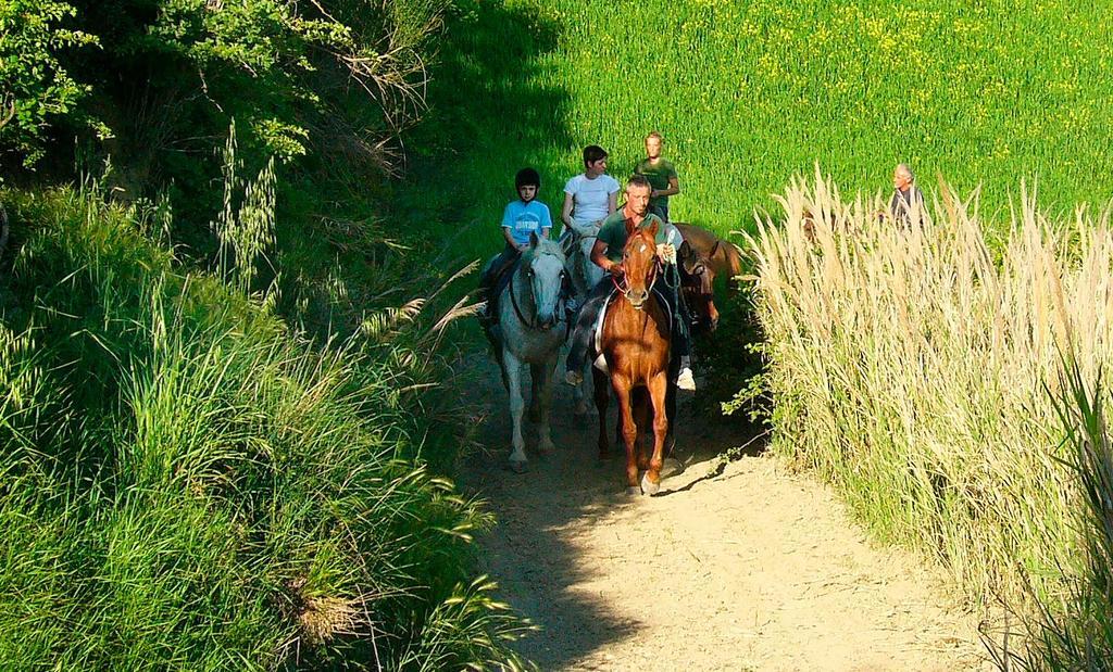 Casa Vacanze Borgolozzi Villa Sovicille Bagian luar foto