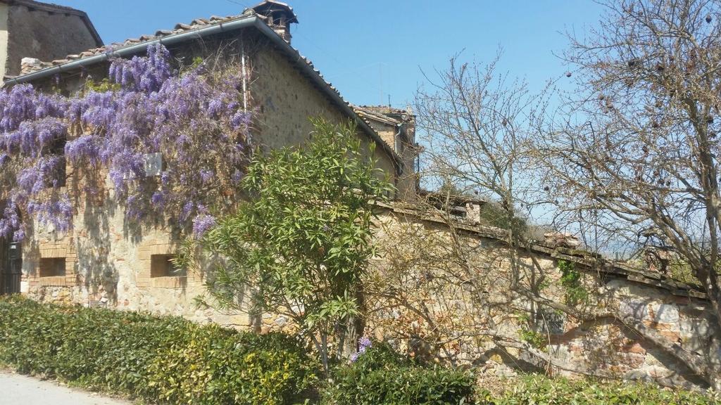 Casa Vacanze Borgolozzi Villa Sovicille Bagian luar foto