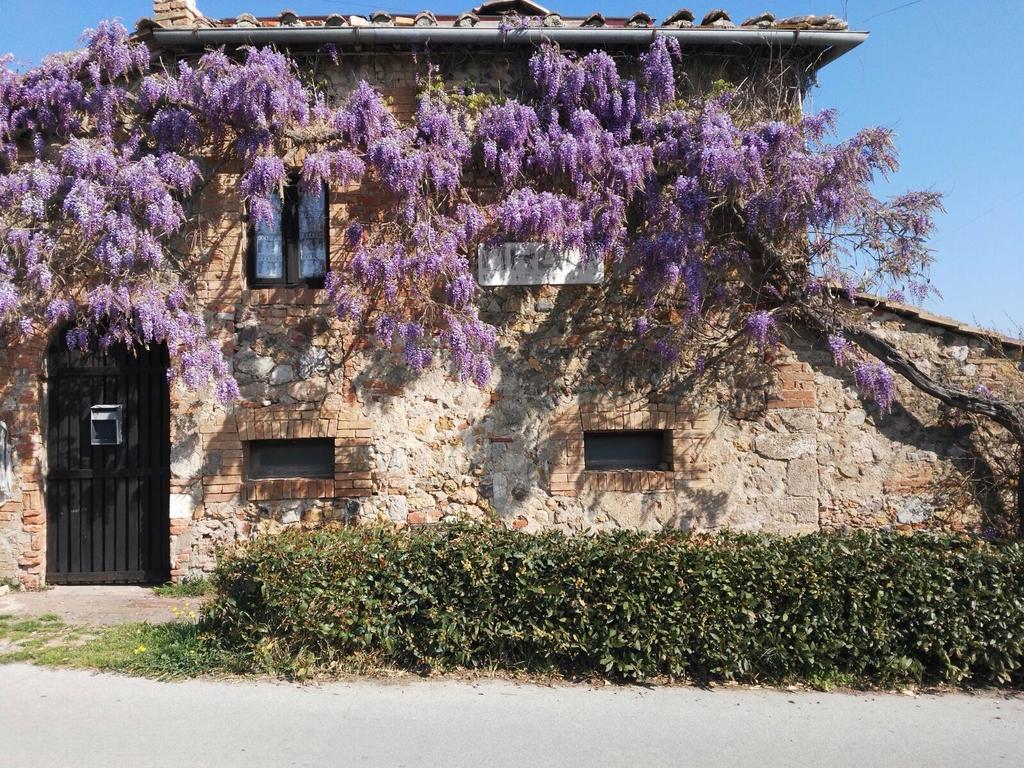 Casa Vacanze Borgolozzi Villa Sovicille Bagian luar foto